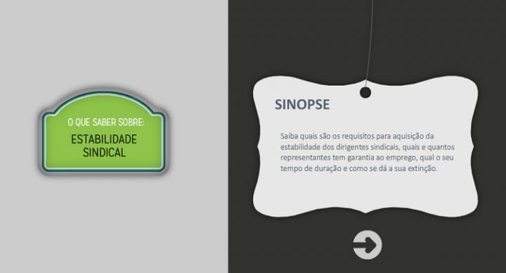 Estabilidade sindical