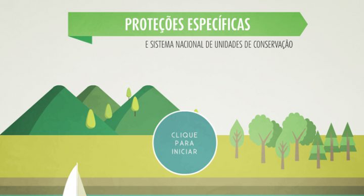 Proteções específicas do meio ambiente e sistema nacional de unidades de conservação
