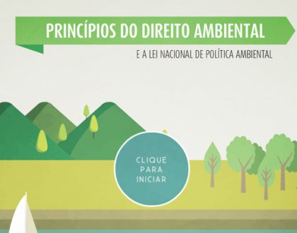 Princípios do Direito Ambiental e a lei nacional de Política Ambiental